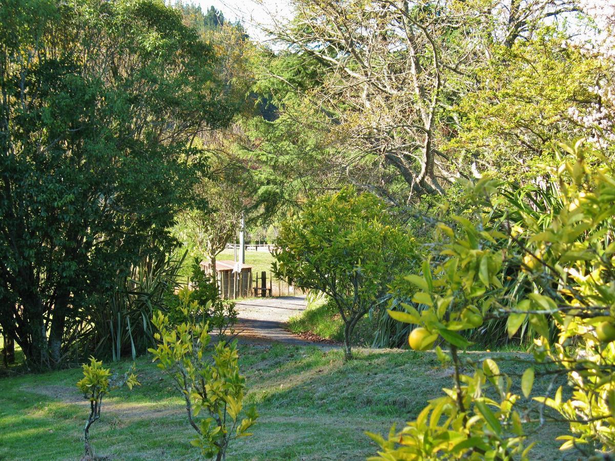 Villa Corru Gate Mapua Exterior foto